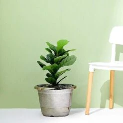 10" Tall Round Plastic Flower Plant Pot With Metallic Barrel Design -Optimal Home Decoration 10 tall round plastic flower plant pot with metallic barrel design 28948105232447