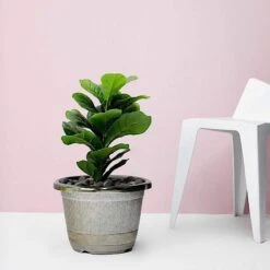 10" Tall Round Plastic Flower Plant Pot With Metallic Barrel Design -Optimal Home Decoration 10 tall round plastic flower plant pot with metallic barrel design 28948192854079