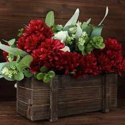 12 Chrysanthemum Mums Bushes -Optimal Home Decoration 12 chrysanthemum mums bushes 29657193087039