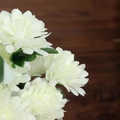 12 Chrysanthemum Mums Bushes -Optimal Home Decoration 12 chrysanthemum mums bushes 29657201147967