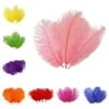 12 Pcs 10-15" Authentic Ostrich Feathers -Optimal Home Decoration 12 pcs 10 15 authentic ostrich feathers 28947814711359