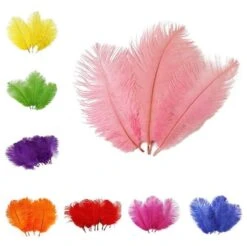 12 Pcs 10-15" Authentic Ostrich Feathers