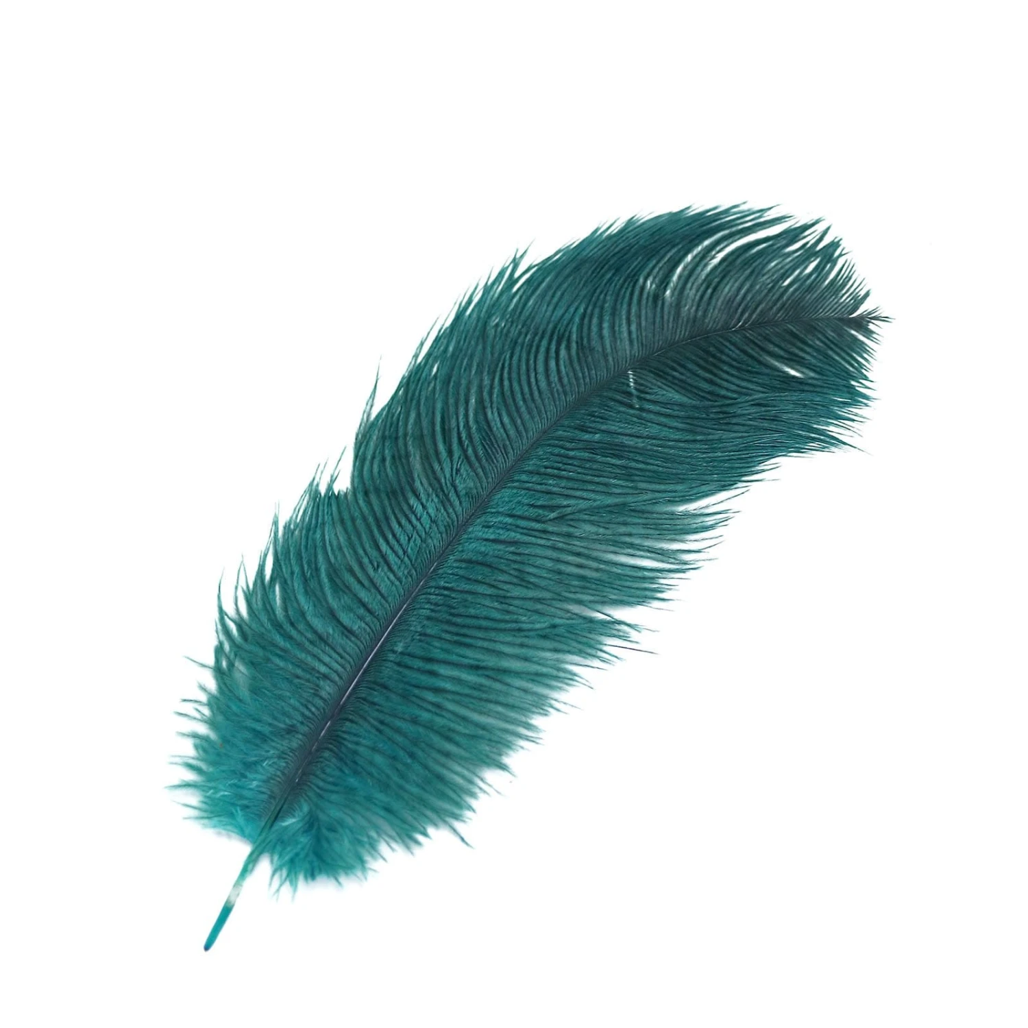 12 Pcs 10-15" Authentic Ostrich Feathers 8 12 Pcs 10-15" Authentic Ostrich Feathers - Image 6