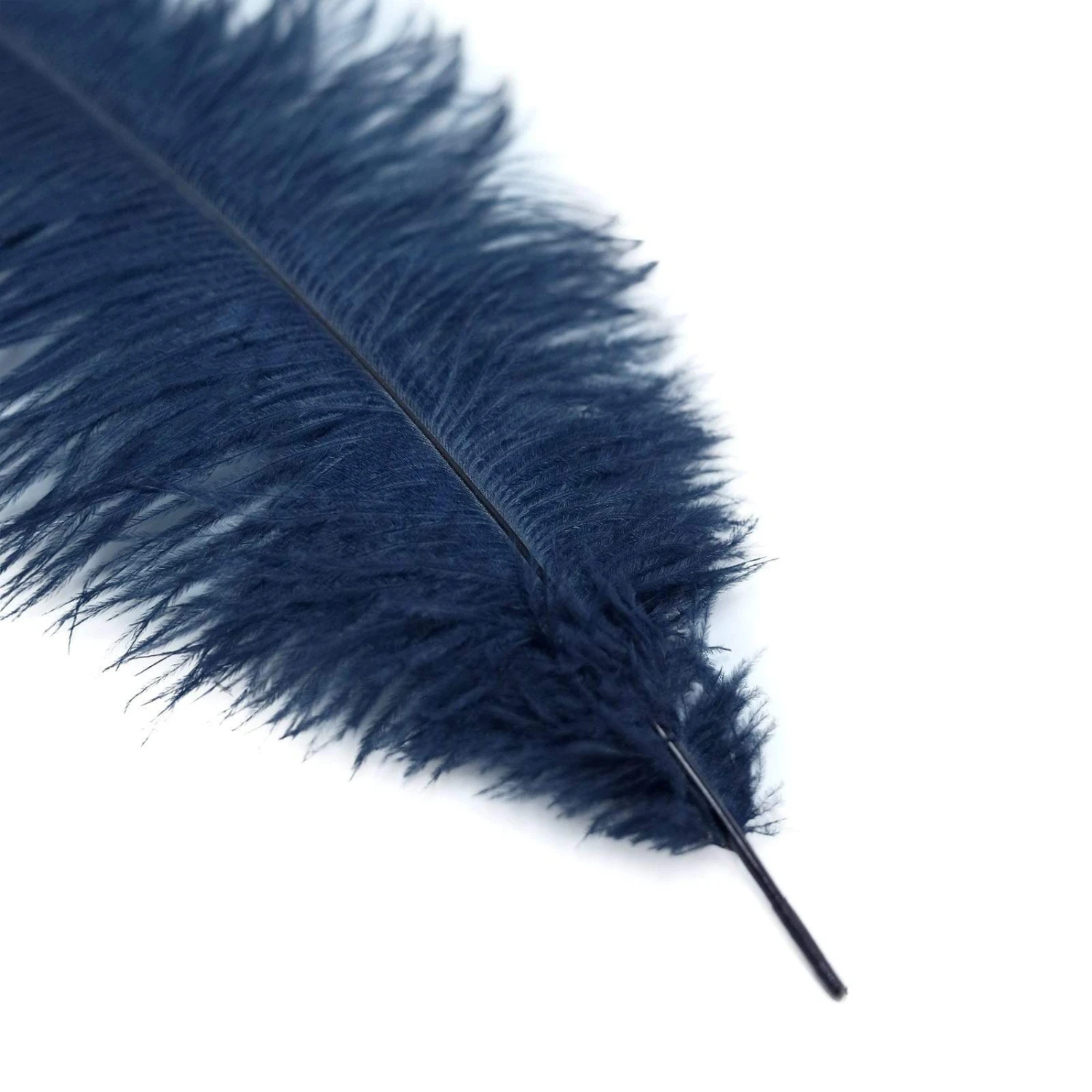 12 Pcs 10-15" Authentic Ostrich Feathers 20 12 Pcs 10-15" Authentic Ostrich Feathers - Image 18