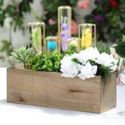 14" X 5" Natural Wood Rectangular Plant Holder Boxes Centerpieces 25 14" X 5" Natural Wood Rectangular Plant Holder Boxes Centerpieces -Optimal Home Decoration 14 x 5 natural wood rectangular plant holder boxes centerpieces 28980984807487