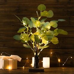 17" LED Fairy Lighted Artificial Eucalyptus Plant - Warm White 19 17" LED Fairy Lighted Artificial Eucalyptus Plant - Warm White -Optimal Home Decoration 17 led fairy lighted artificial eucalyptus plant warm white led tree02 grn 30924274630719