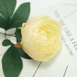 2 Bushes 14 Silk Peony And 72 Hydrangeas Flowers - Light Pink And Blush -Optimal Home Decoration 2 bushes 14 silk peony and 72 hydrangeas flowers light pink and blush 28963341697087