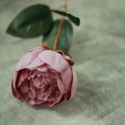 2 Bushes 14 Silk Peony Flowers -Optimal Home Decoration 2 bushes 14 silk peony flowers 28963292151871