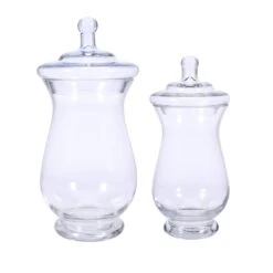 2 Pcs 10" 12" Tall Glass Apothecary Jars Containers With Lids - Clear