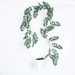 2 Pcs 12 Ft Long Honey Locust Artificial Foliage Botanical Garlands - Light Green -Optimal Home Decoration 2 pcs 12 ft long honey locust artificial foliage botanical garlands light green arti glnd g04 14162398675007
