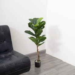 2 Pcs 3 Ft Fiddle Leaf Fig Tree Potted Artificial Plants - Green 18 2 Pcs 3 Ft Fiddle Leaf Fig Tree Potted Artificial Plants - Green -Optimal Home Decoration 2 pcs 3 ft fig tree potted artificial plants green arti pot trop002 s grn 29198782496831