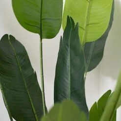2 Pcs Bird Of Paradise Potted Artificial Plants - Green 28 2 Pcs Bird Of Paradise Potted Artificial Plants - Green -Optimal Home Decoration 2 pcs 6 ft artificial bird of paradise plastic planter pot green arti pot trop001 l grn 29174911467583
