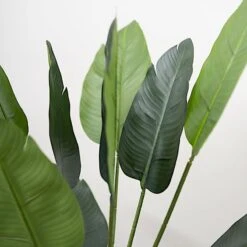 2 Pcs Bird Of Paradise Potted Artificial Plants - Green 24 2 Pcs Bird Of Paradise Potted Artificial Plants - Green -Optimal Home Decoration 2 pcs 6 ft artificial bird of paradise plastic planter pot green arti pot trop001 l grn 29174911565887