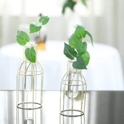2 Pcs Geometric Bottles With Clear Glass Tubes Flower Vase Holders - Gold 12 2 Pcs Geometric Bottles With Clear Glass Tubes Flower Vase Holders - Gold -Optimal Home Decoration 2 pcs geometric bottles with clear glass tubes flower vase holders gold iron vase 008 gold 11529981034559