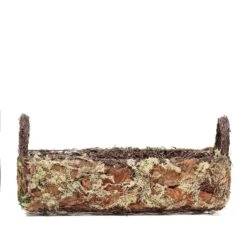 2 Pcs Natural Moss Rectangular Planter Boxes With Handles - Green With Chocolate Brown 11 2 Pcs Natural Moss Rectangular Planter Boxes With Handles - Green With Chocolate Brown -Optimal Home Decoration 2 pcs natural moss rectangular planter boxes with handles green with chocolate brown moss plnt 005 grn 5139081232447