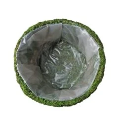 2 Pcs Natural Moss Teacups Planter Boxes With Ribbons - Green 11 2 Pcs Natural Moss Teacups Planter Boxes With Ribbons - Green -Optimal Home Decoration 2 pcs natural moss teacups planter boxes with ribbons green moss plnt 019 grn 28501357232191