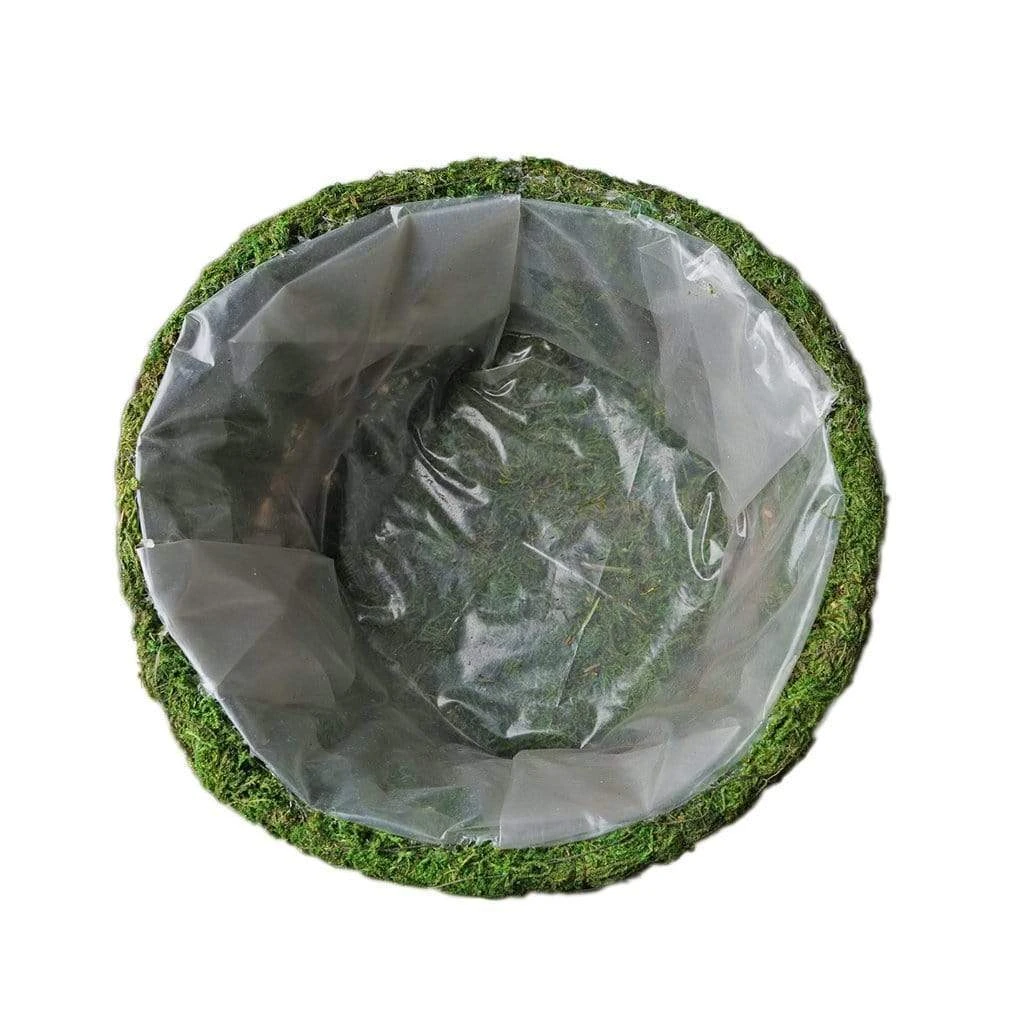 2 Pcs Natural Moss Teacups Planter Boxes With Ribbons - Green 5 2 Pcs Natural Moss Teacups Planter Boxes With Ribbons - Green - Image 3