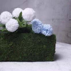 23.5" Long Natural Moss Rectangular Planter Box - Green 14 23.5" Long Natural Moss Rectangular Planter Box - Green -Optimal Home Decoration 23 5 long natural moss rectangular planter box green moss plnt 021 grn 13283500032063
