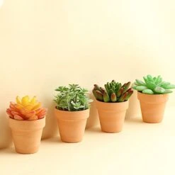 24 Mini Round 2.5" Ceramic Flower Plant Pots Succulent Planters - Terracotta 17 24 Mini Round 2.5" Ceramic Flower Plant Pots Succulent Planters - Terracotta -Optimal Home Decoration 24 mini round 2 5 ceramic flower plant pots succulent planters terracotta plnt cerm 001 s terc 29703910228031