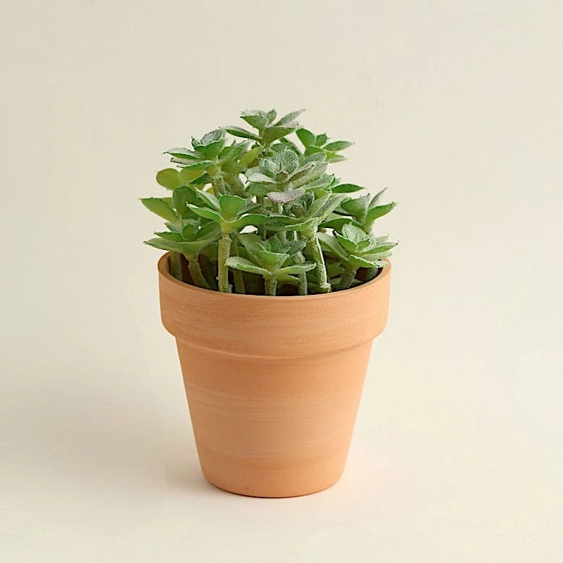 24 Mini Round 2.5" Ceramic Flower Plant Pots Succulent Planters - Terracotta 12 24 Mini Round 2.5" Ceramic Flower Plant Pots Succulent Planters - Terracotta - Image 10