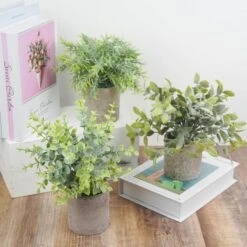 3 Pcs 9" Tall Assorted Mini Potted Artificial Plants - Frosted Green And Gray 19 3 Pcs 9" Tall Assorted Mini Potted Artificial Plants - Frosted Green And Gray -Optimal Home Decoration 3 pcs 9 tall assorted mini potted artificial plants frosted green and gray arti grn pt001 asst 28455279493183