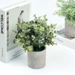 3 Pcs 9" Tall Assorted Mini Potted Artificial Plants - Frosted Green And Gray 16 3 Pcs 9" Tall Assorted Mini Potted Artificial Plants - Frosted Green And Gray -Optimal Home Decoration 3 pcs 9 tall assorted mini potted artificial plants frosted green and gray arti grn pt001 asst 28455370948671