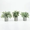 3 Pcs 9" Tall Assorted Mini Potted Artificial Plants - Frosted Green And Gray 1 3 Pcs 9" Tall Assorted Mini Potted Artificial Plants - Frosted Green And Gray -Optimal Home Decoration 3 pcs 9 tall assorted mini potted artificial plants frosted green and gray arti grn pt001 asst 28476007022655