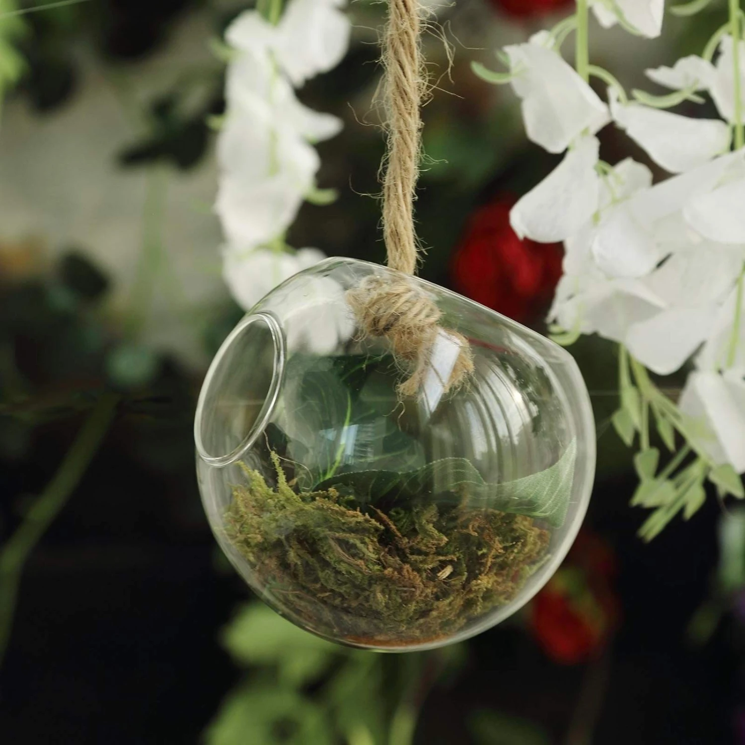 3 Pcs Classic Round Glass Wall Terrariums Vases - Clear 4 3 Pcs Classic Round Glass Wall Terrariums Vases - Clear - Image 2