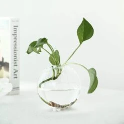 3 Pcs Classic Round Glass Wall Terrariums Vases - Clear 13 3 Pcs Classic Round Glass Wall Terrariums Vases - Clear -Optimal Home Decoration 3 pcs classic round glass wall terrariums vases clear glas vase003 rnd4 clr 13189986156607