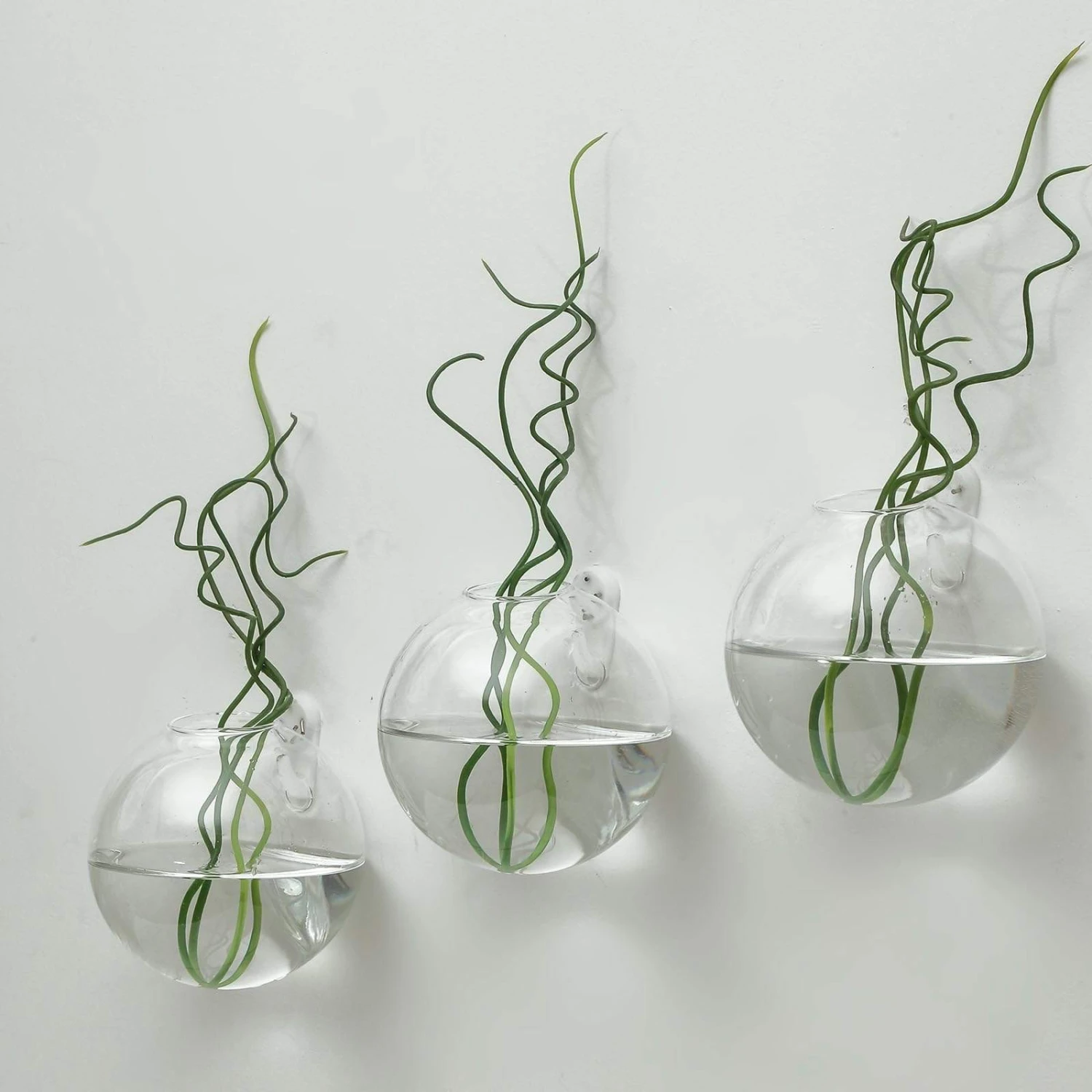 3 Pcs Classic Round Glass Wall Terrariums Vases - Clear 6 3 Pcs Classic Round Glass Wall Terrariums Vases - Clear - Image 4