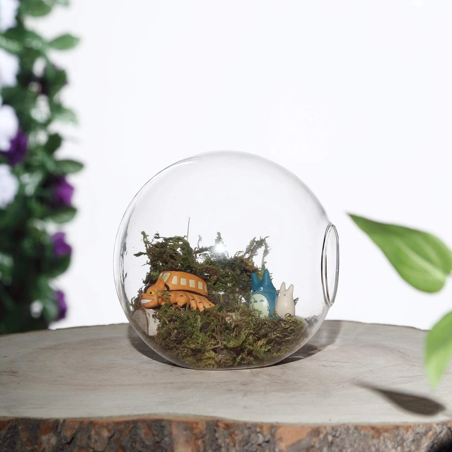 3 Pcs Classic Round Glass Wall Terrariums Vases - Clear 5 3 Pcs Classic Round Glass Wall Terrariums Vases - Clear - Image 3