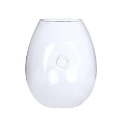 3 Pcs Oval Glass Wall Terrariums Vases - Clear