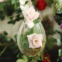 3 Pcs Oval Glass Wall Terrariums Vases - Clear -Optimal Home Decoration 3 pcs oval glass wall terrariums vases clear glas vase003 tear clr 13190113787967