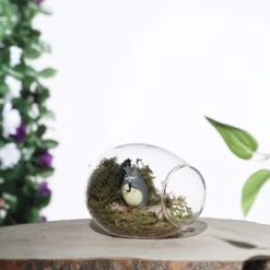 3 Pcs Oval Glass Wall Terrariums Vases - Clear -Optimal Home Decoration 3 pcs oval glass wall terrariums vases clear glas vase003 tear clr 13190117589055