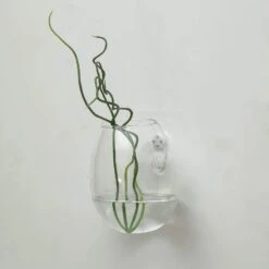3 Pcs Oval Glass Wall Terrariums Vases - Clear -Optimal Home Decoration 3 pcs oval glass wall terrariums vases clear glas vase003 tear clr 13190129188927