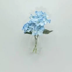 3 Pcs Oval Glass Wall Terrariums Vases - Clear -Optimal Home Decoration 3 pcs oval glass wall terrariums vases clear glas vase003 tear clr 28520180940863