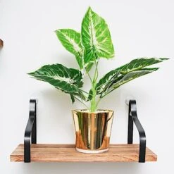 3 Rectangular Metal With Wood Floating Shelves - Natural -Optimal Home Decoration 3 pcs rectangular metal with wood floating shelves natural wod hopshlf flo01 dkbn 29145109200959