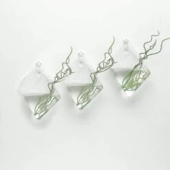 3 Pcs Rhombus Glass Wall Terrariums Vases - Clear -Optimal Home Decoration 3 pcs rhombus glass wall terrariums vases clear glas vase003 dia clr 12938945560639