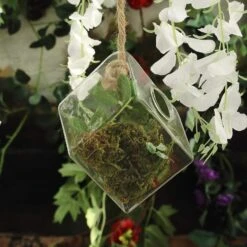 3 Pcs Rhombus Glass Wall Terrariums Vases - Clear -Optimal Home Decoration 3 pcs rhombus glass wall terrariums vases clear glas vase003 dia clr 28526569652287