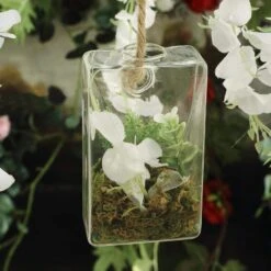 3 Pcs Trapezoid Glass Wall Terrariums Vases - Clear 11 3 Pcs Trapezoid Glass Wall Terrariums Vases - Clear -Optimal Home Decoration 3 pcs trapezoid glass wall terrariums vases clear glas vase003 tpz clr 13190062112831