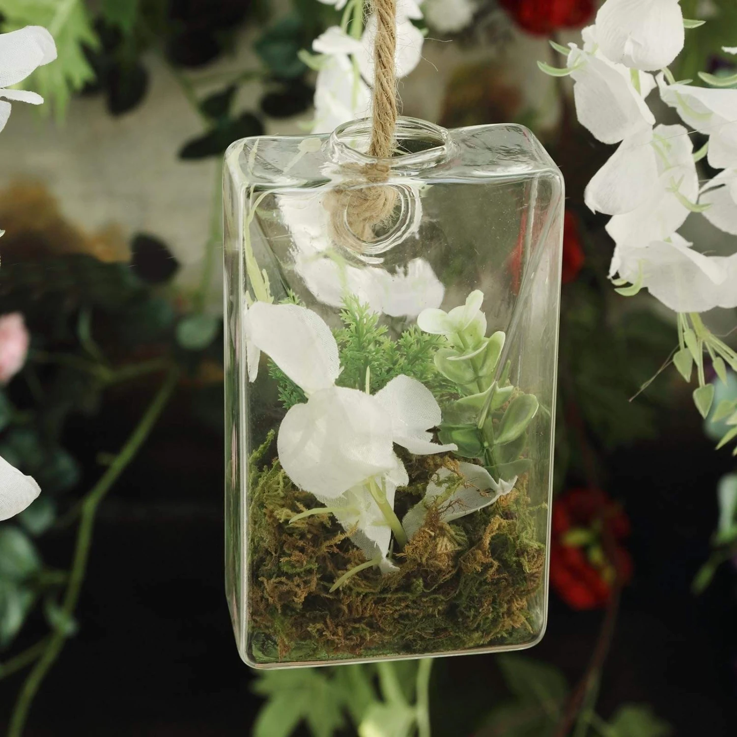 3 Pcs Trapezoid Glass Wall Terrariums Vases - Clear 5 3 Pcs Trapezoid Glass Wall Terrariums Vases - Clear - Image 3