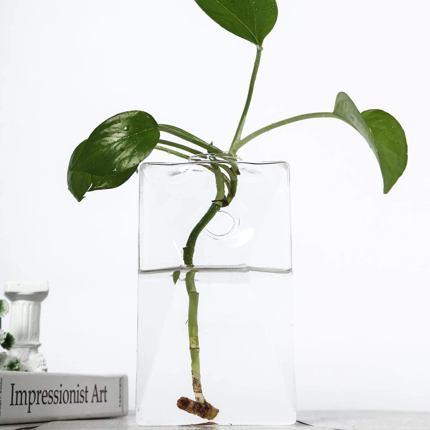 3 Pcs Trapezoid Glass Wall Terrariums Vases - Clear 8 3 Pcs Trapezoid Glass Wall Terrariums Vases - Clear - Image 6