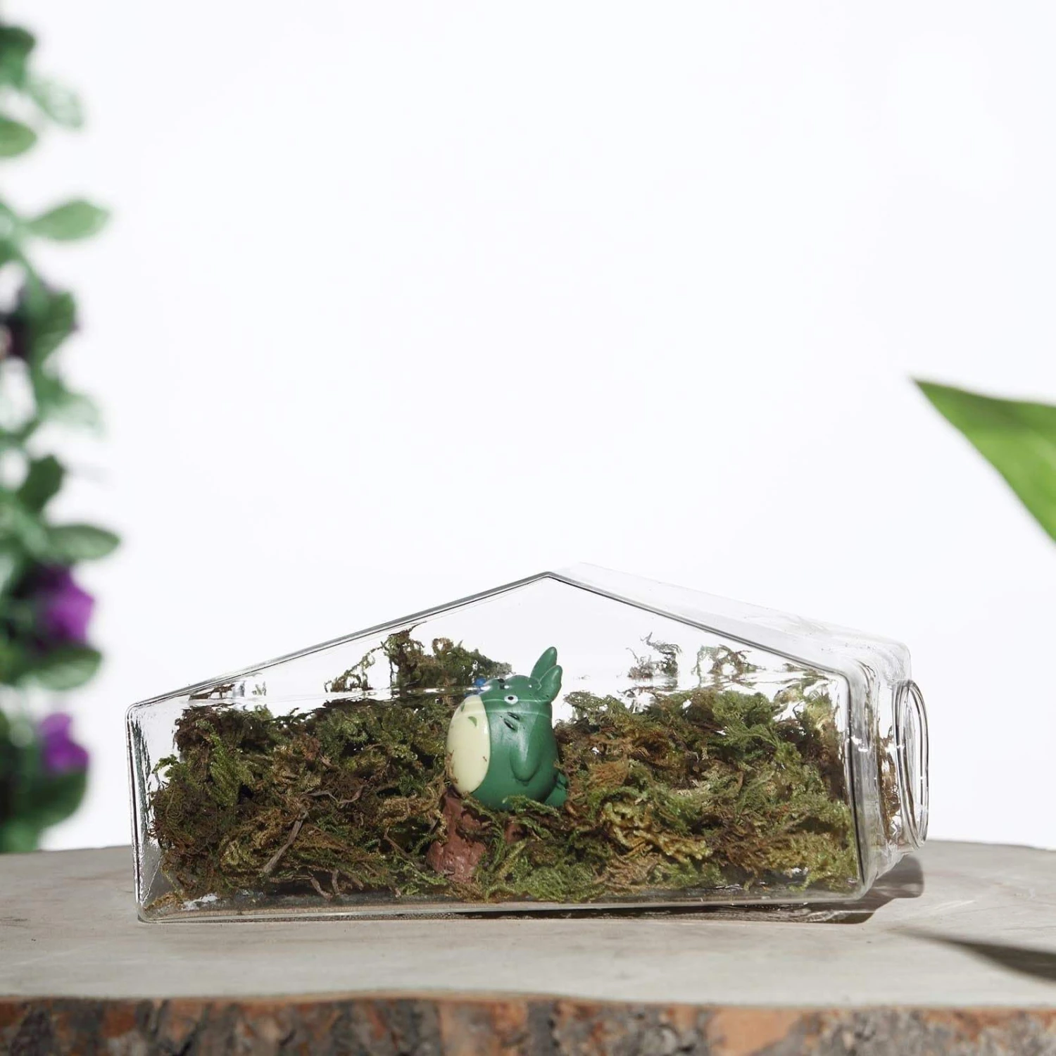 3 Pcs Trapezoid Glass Wall Terrariums Vases - Clear 6 3 Pcs Trapezoid Glass Wall Terrariums Vases - Clear - Image 4