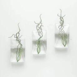 3 Pcs Trapezoid Glass Wall Terrariums Vases - Clear 13 3 Pcs Trapezoid Glass Wall Terrariums Vases - Clear -Optimal Home Decoration 3 pcs trapezoid glass wall terrariums vases clear glas vase003 tpz clr 28577233010751