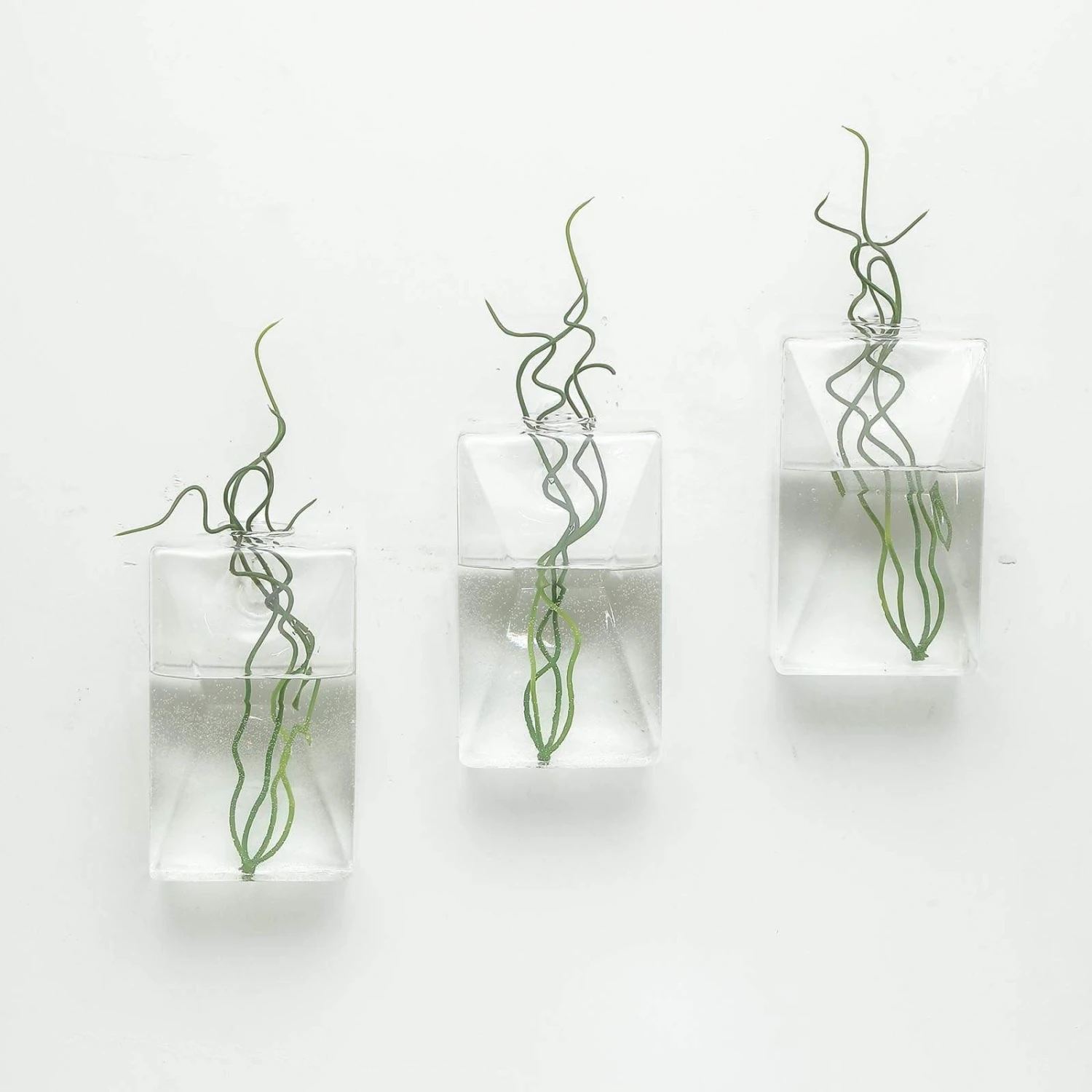 3 Pcs Trapezoid Glass Wall Terrariums Vases - Clear 7 3 Pcs Trapezoid Glass Wall Terrariums Vases - Clear - Image 5