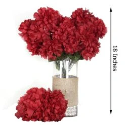 4 Large Chrysanthemum Mums Bushes -Optimal Home Decoration 4 large chrysanthemum mums bushes 30233548619839