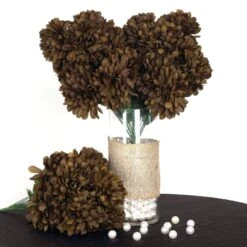 4 Large Chrysanthemum Mums Bushes -Optimal Home Decoration 4 large chrysanthemum mums bushes black 28957242916927
