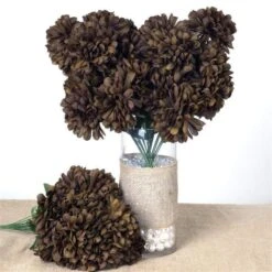 4 Large Chrysanthemum Mums Bushes -Optimal Home Decoration 4 large chrysanthemum mums bushes black arti 9043 choc 28957242851391