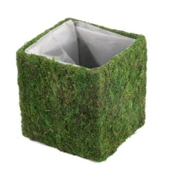 4 Pcs 6"x6" Natural Moss Square Planter Boxes - Green