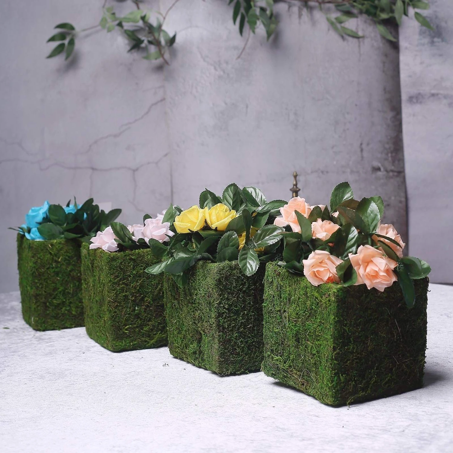 4 Pcs 6"x6" Natural Moss Square Planter Boxes - Green 6 4 Pcs 6"x6" Natural Moss Square Planter Boxes - Green - Image 4